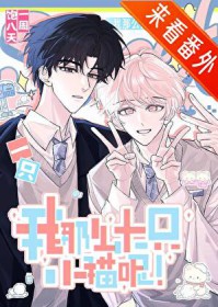 不是社畜，是猫猫